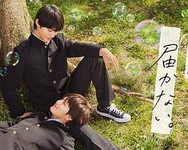 人猿泰山版中文海报剧照