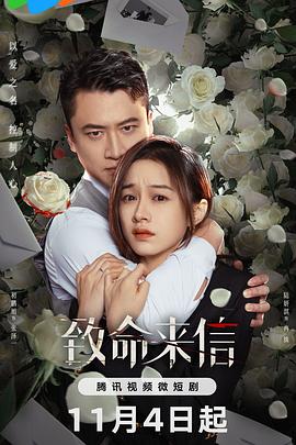 丁香伊人99海报剧照