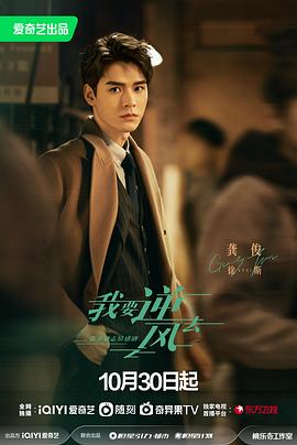 地球旋转海报剧照